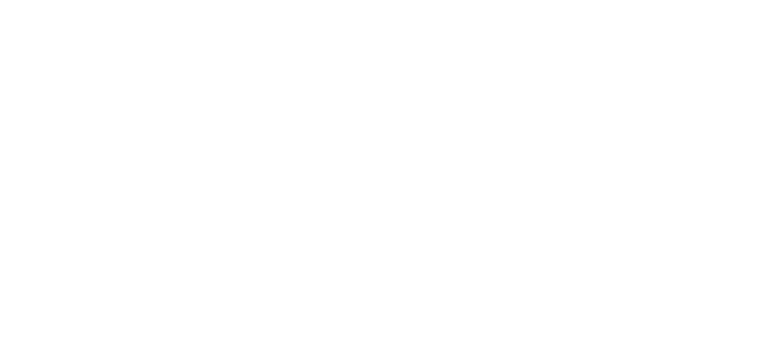 Kozte logo